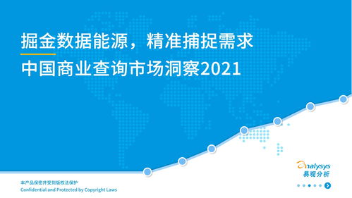 中国商业查询市场分析2021