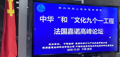 中华 和 文化九个一工程落地陕西暨陕西首场高峰论坛在西安隆重举行